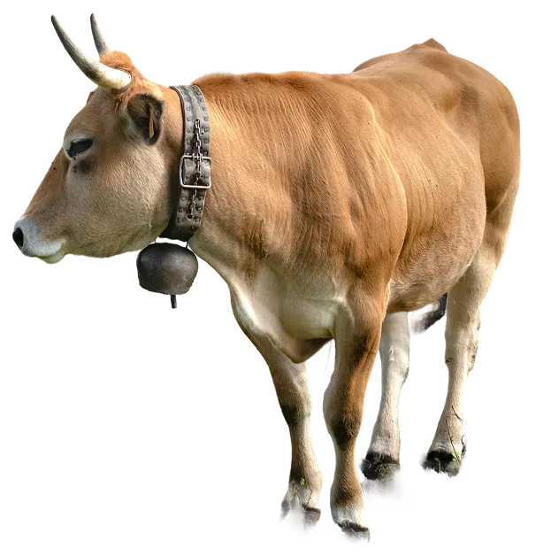 Moofinder product image