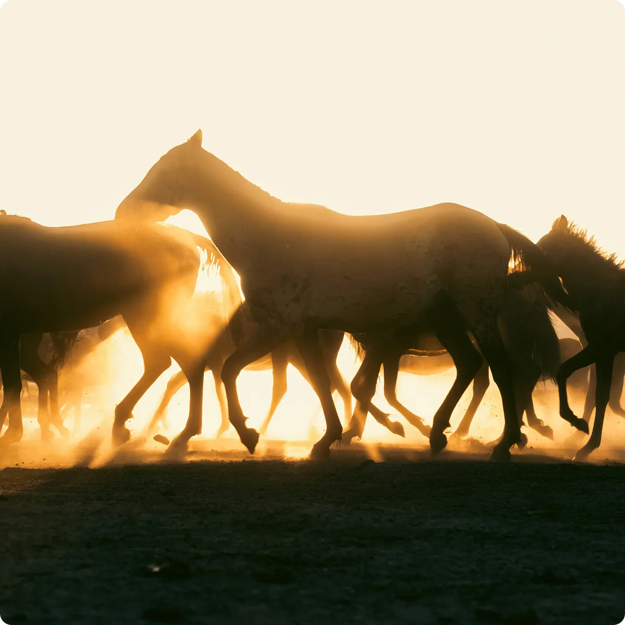 Our vision background