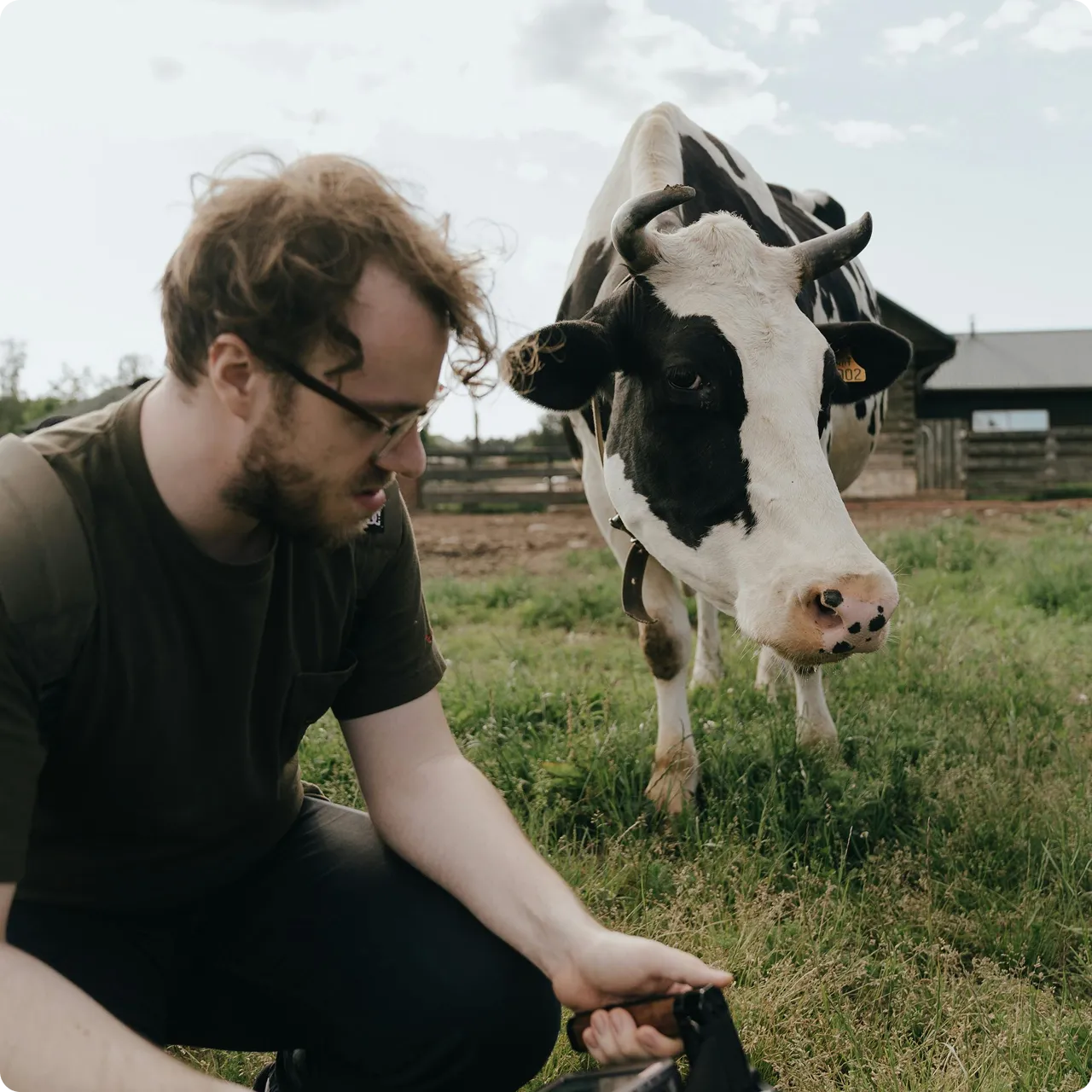 University Validated