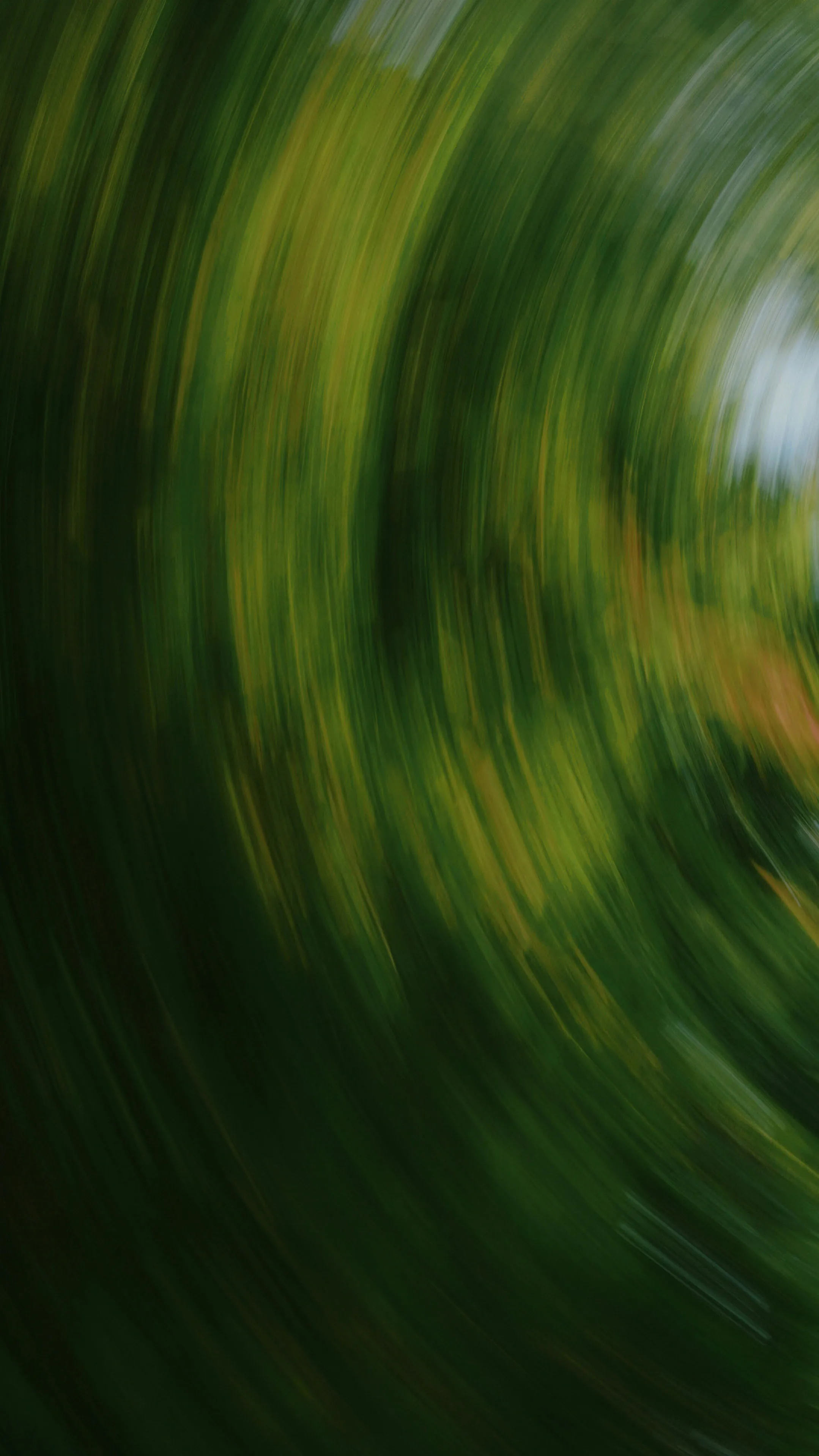 Blurred circular motion of green foliage and trees, creating a swirling effect.