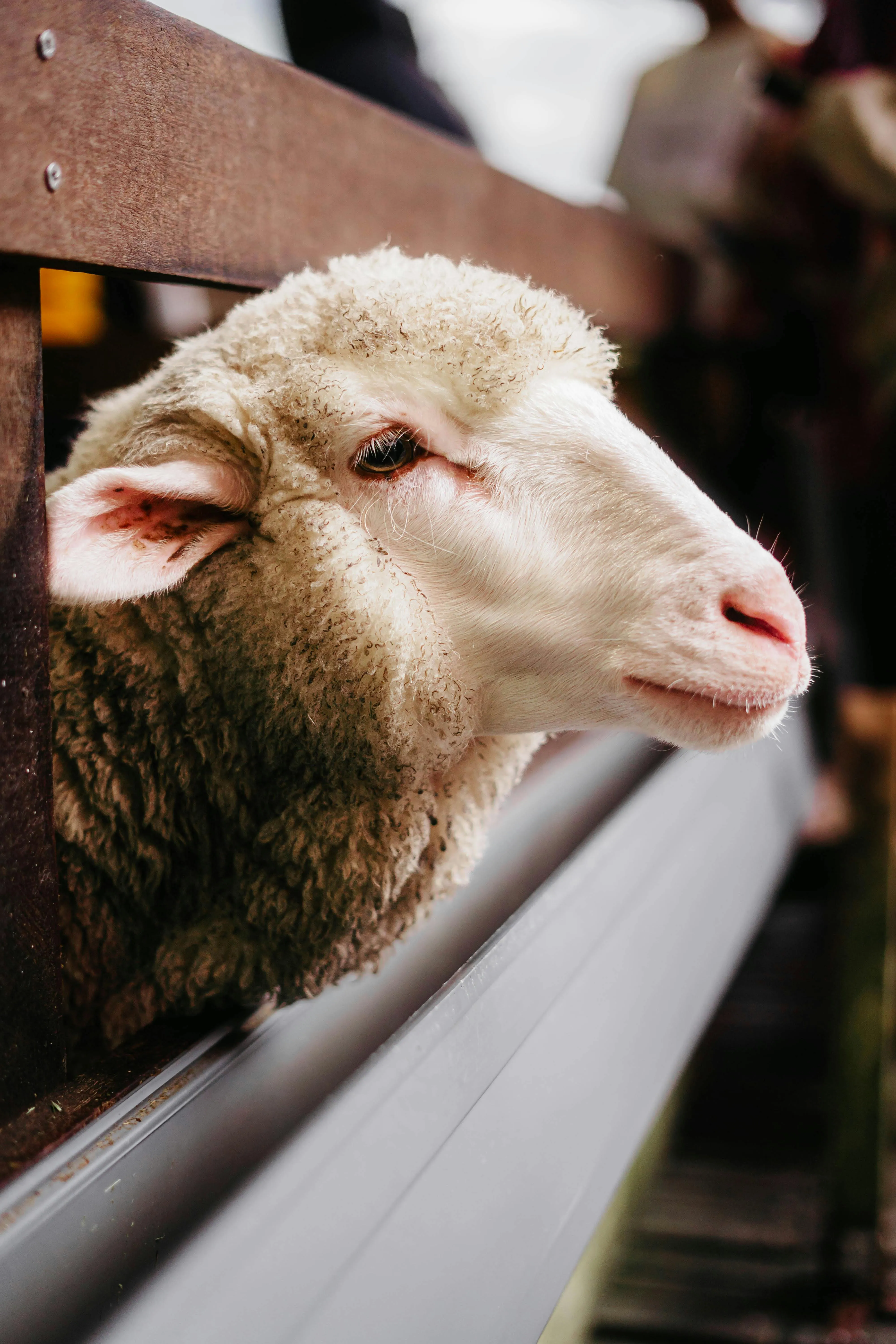 Our mission background