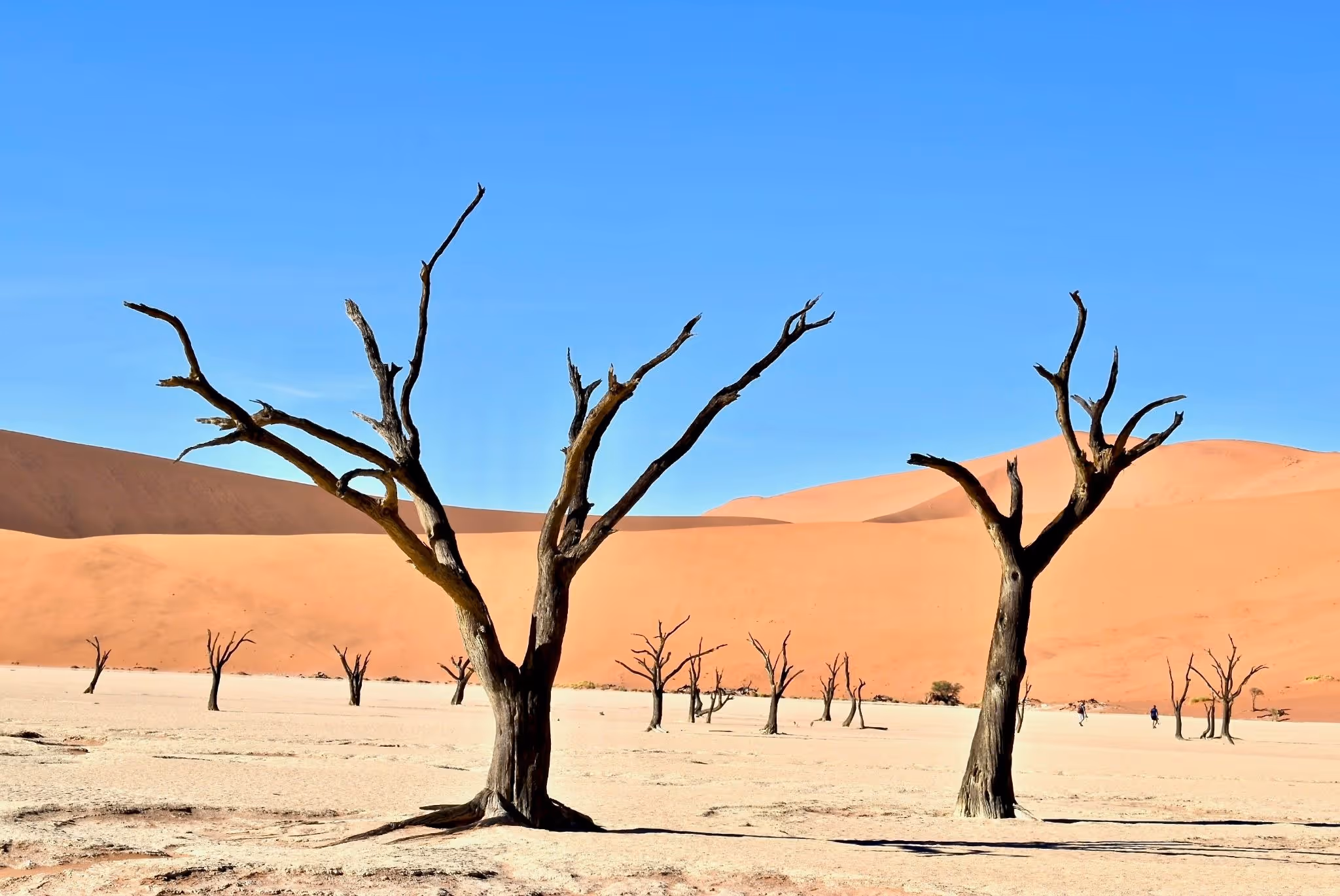 Dramatic-landscape-of-Namibian-desert