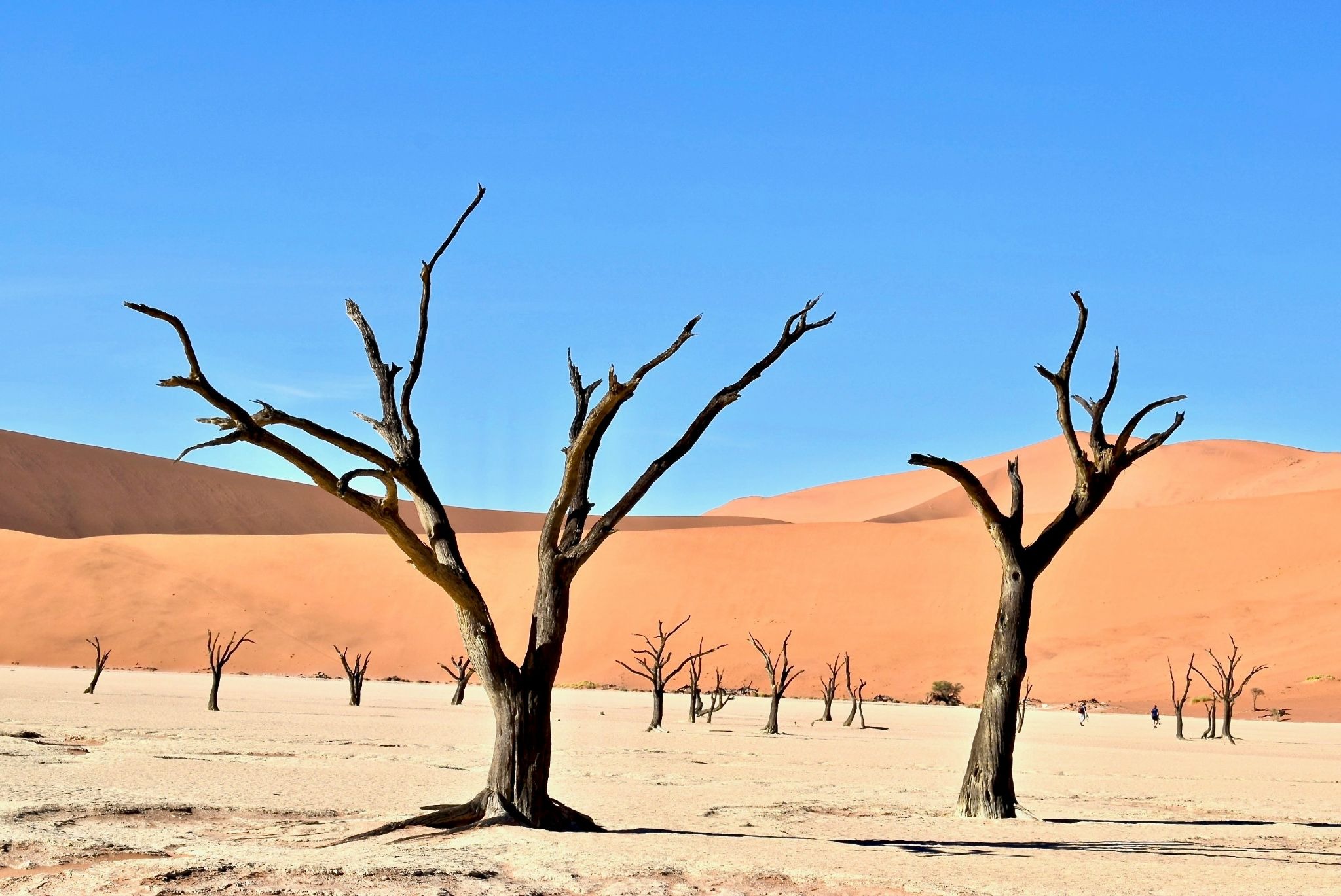 Dramatic-landscape-of-Namibian-desert