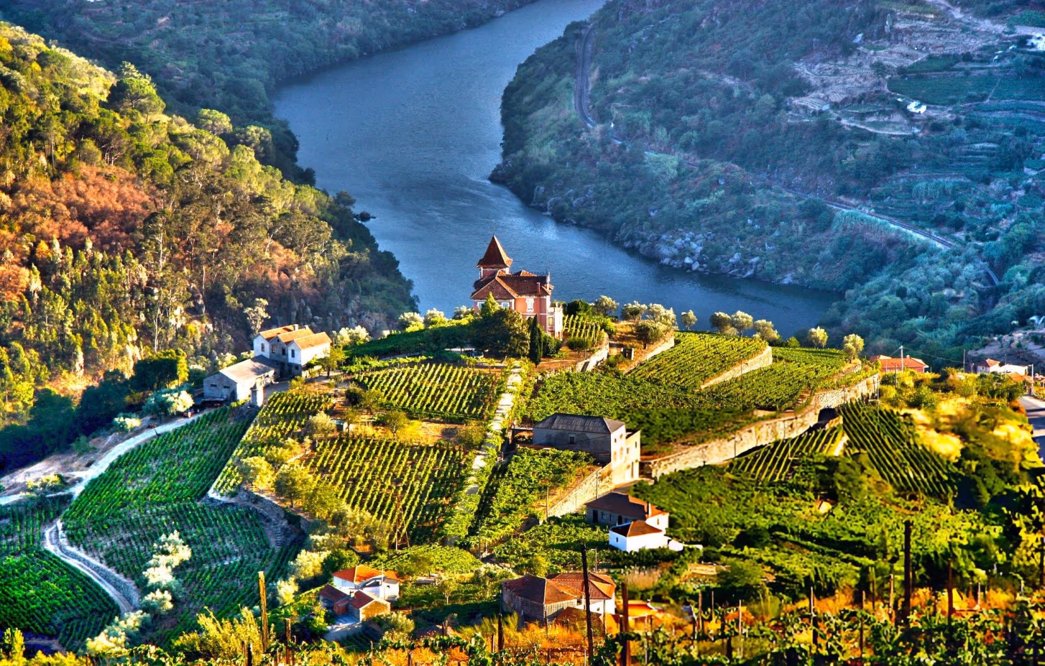 Douro Valley, Portugal