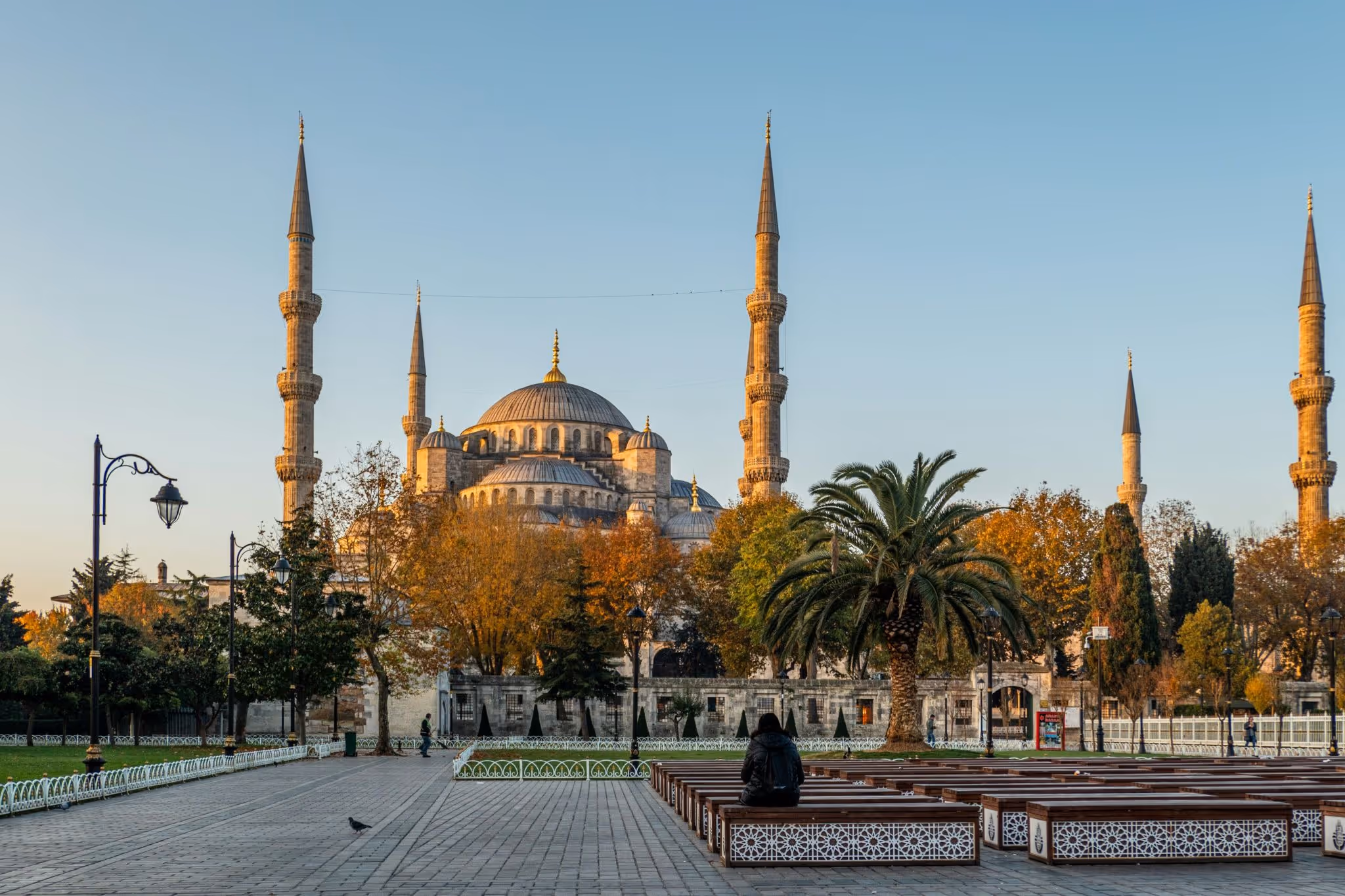 source: https://unsplash.com/photos/people-walking-on-park-near-brown-concrete-building-during-daytime-QLXwWbismFA