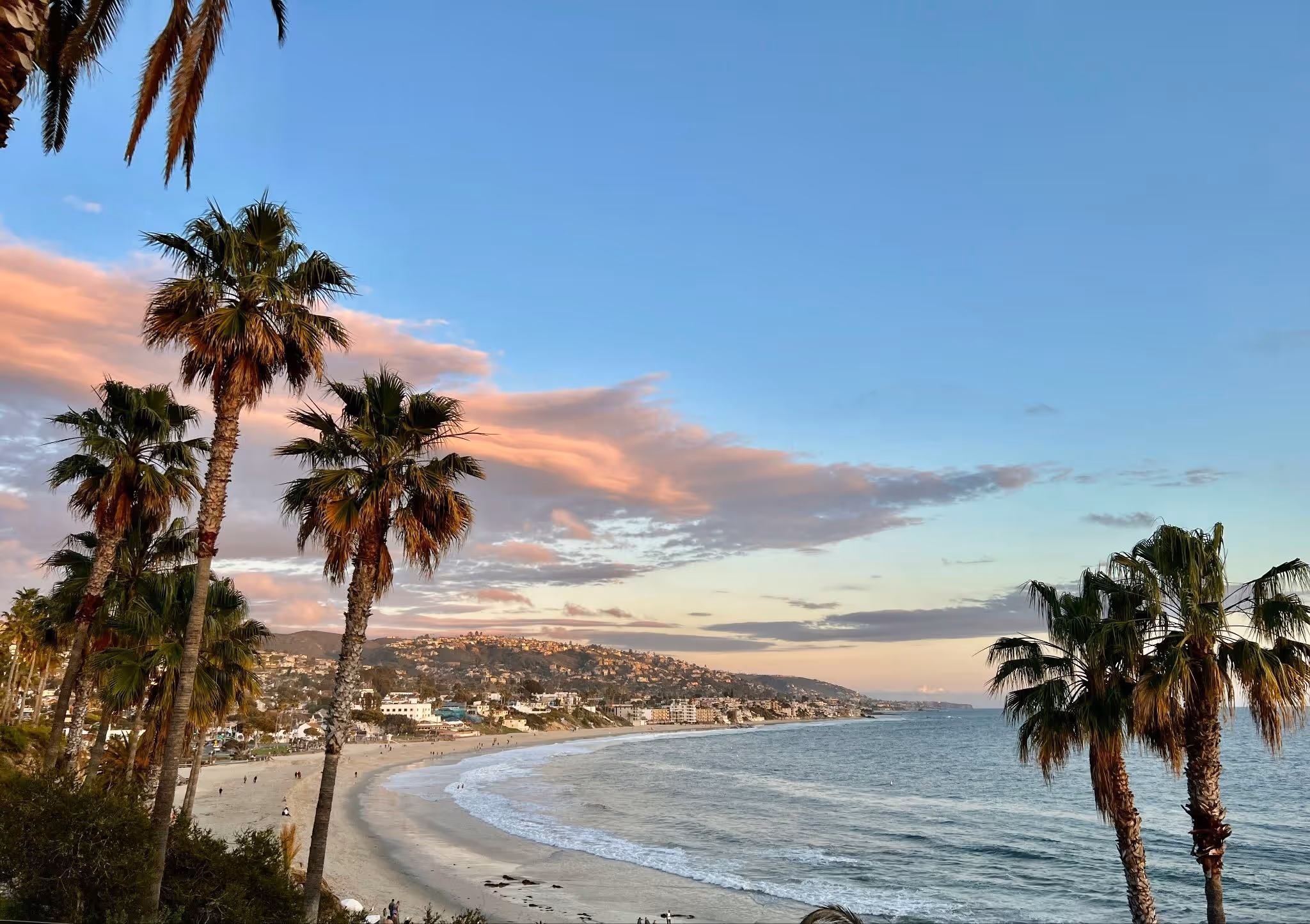 source: https://unsplash.com/photos/a-beach-with-palm-trees-and-the-ocean-in-the-background-s5-5t9cWe2E