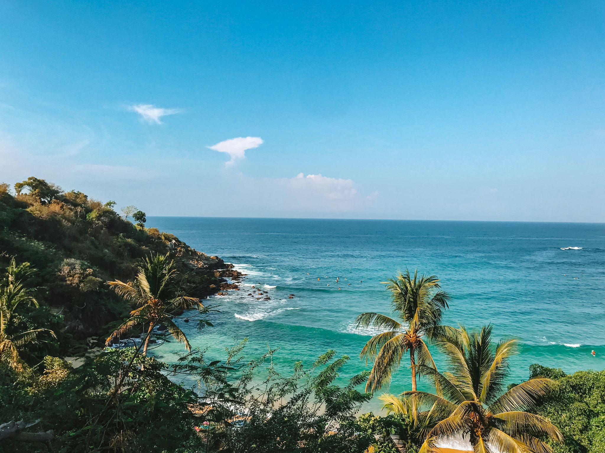 source: https://unsplash.com/photos/green-palm-tree-near-sea-under-blue-sky-during-daytime-8PxQr52BZi0