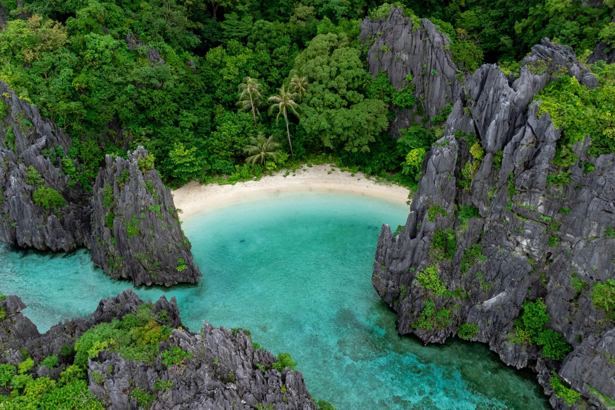 source: https://unsplash.com/photos/an-aerial-view-of-a-beach-surrounded-by-trees-F4jg3IbiIOE