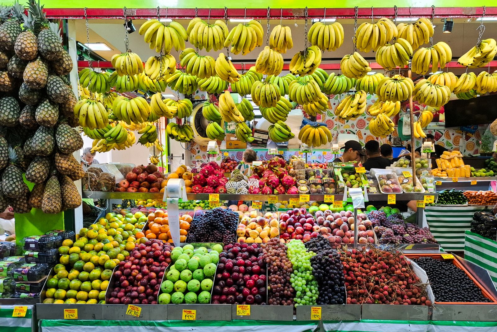 Fresh highland vegetables displayed at roadside market