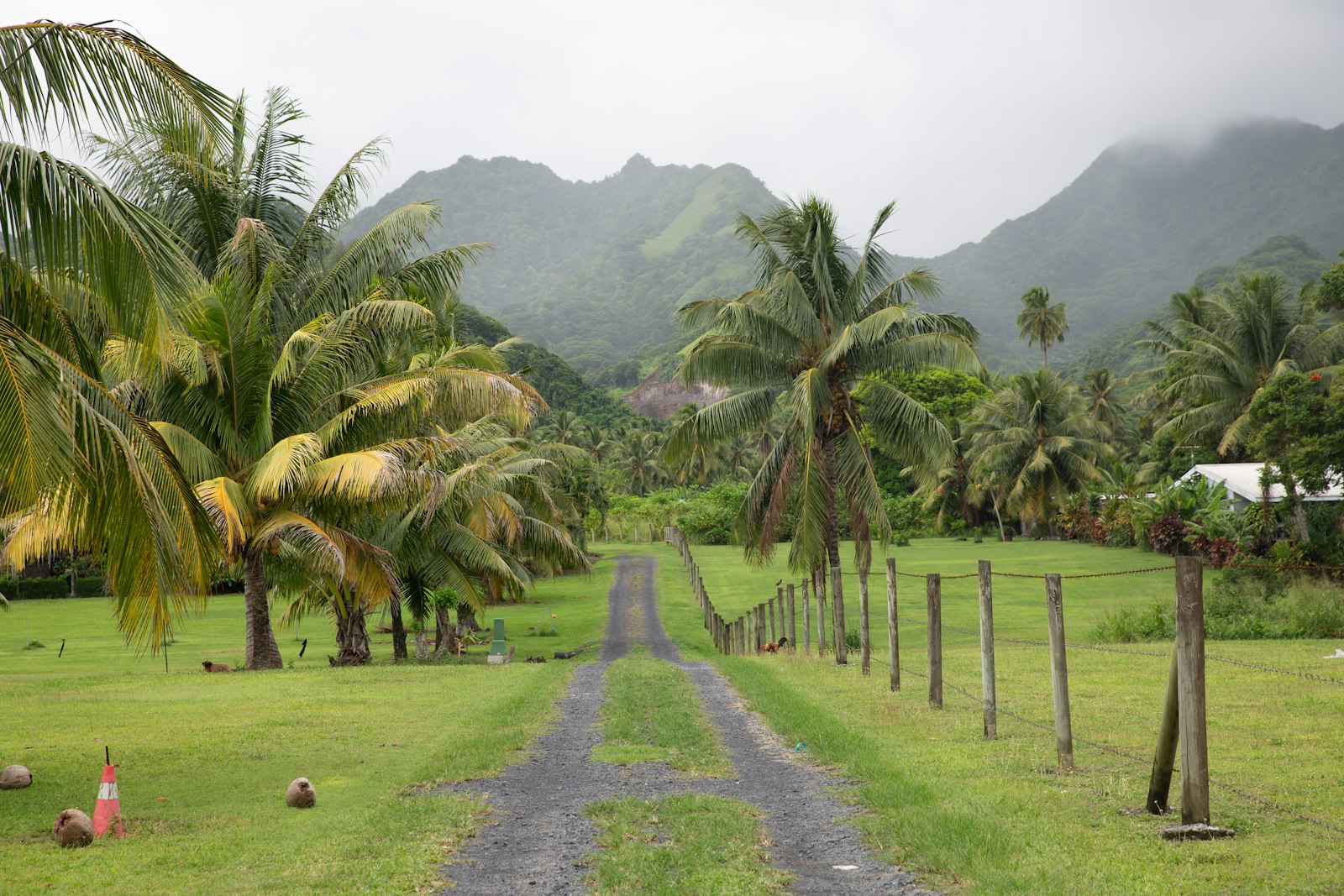 Hikers on the Cross Island Trek approaching Te Rua Manga, The Needle, in Rarotonga