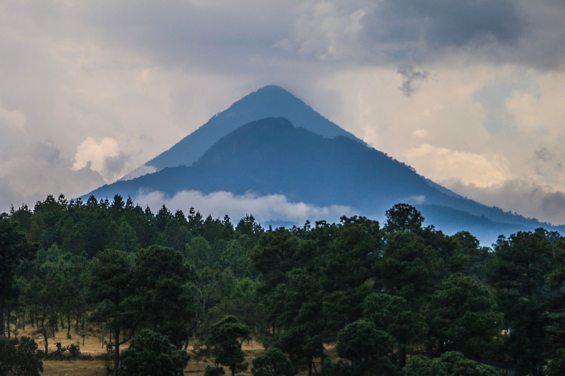 Cloud-shrouded volcano rising above lush pine forest in the Guatemalan highlands