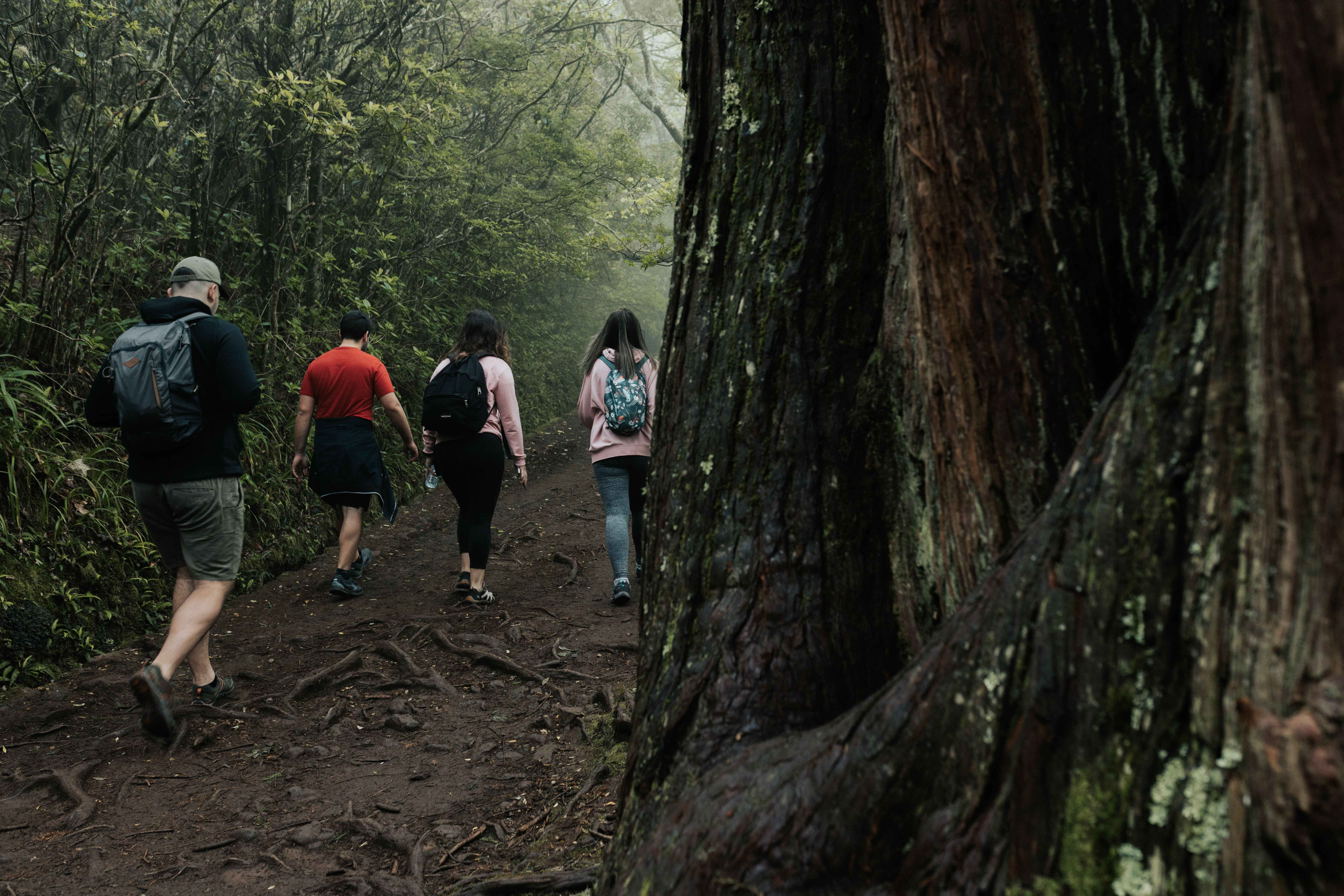 Hikers on a forest trail on Ometepe Island in Lake Nicaragua