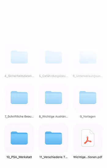 Ausschnitt aus einem Computerbildschirm, der blaue Ordner and eine PDF Datei mit Ordner Namen zeigt.
