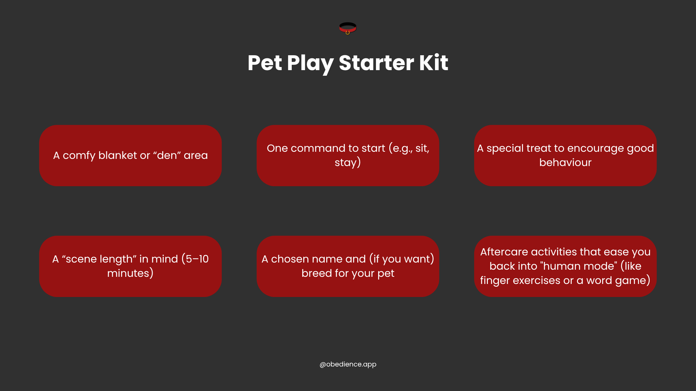 petplay starter kit