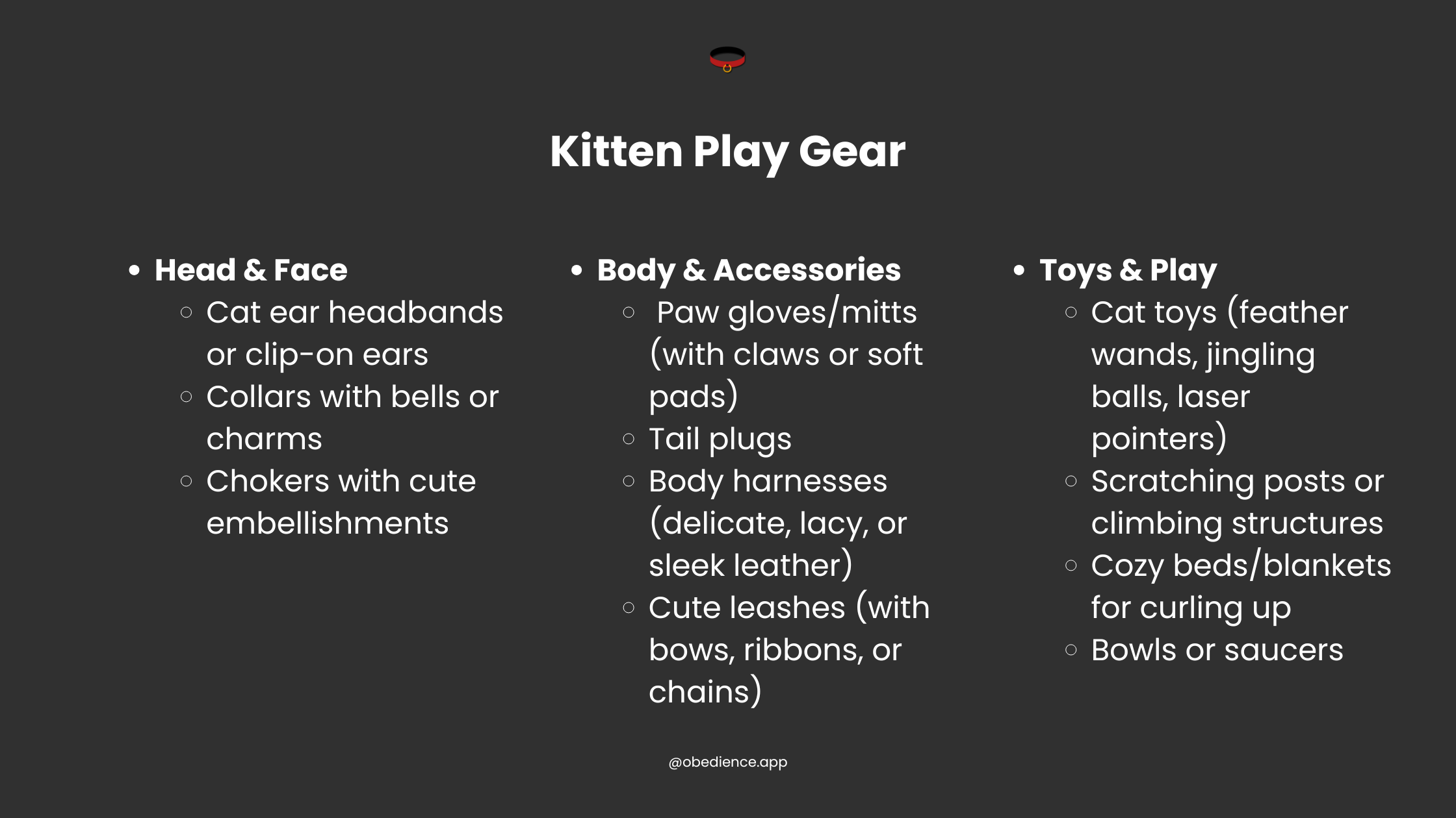 kitten play gear