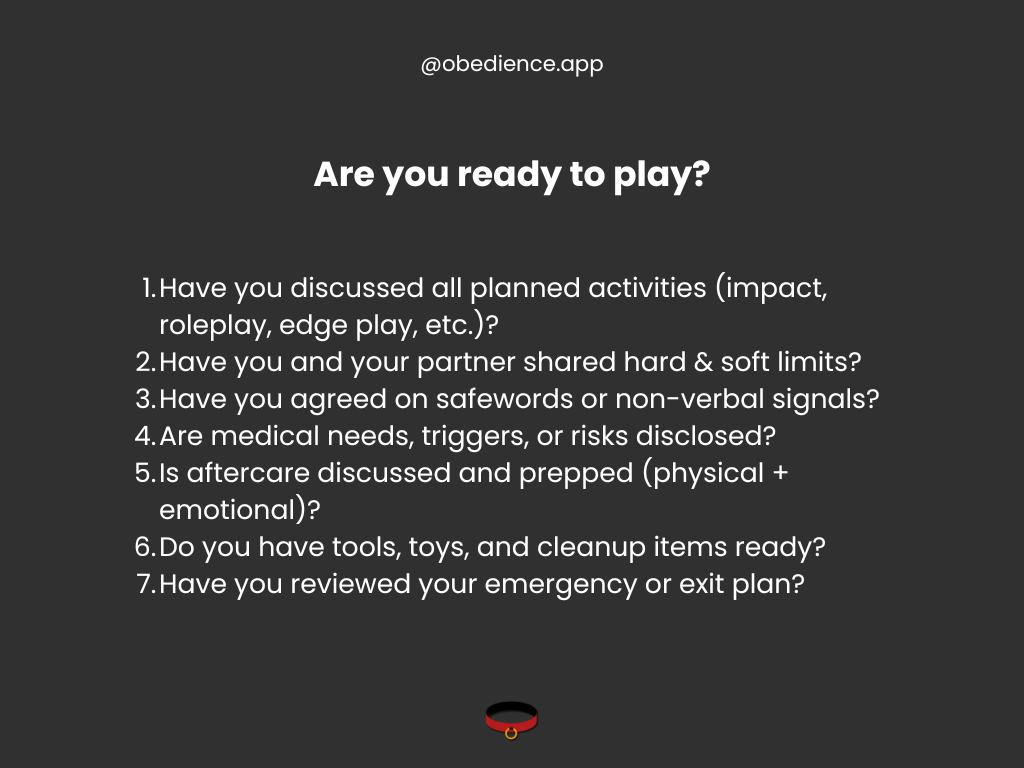 are you ready to have a kinky scene