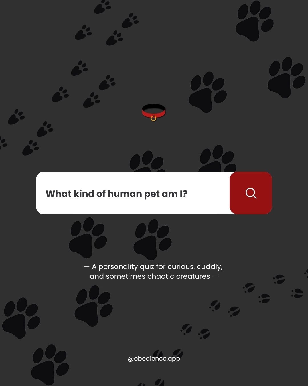 What kind of human pet am I quiz