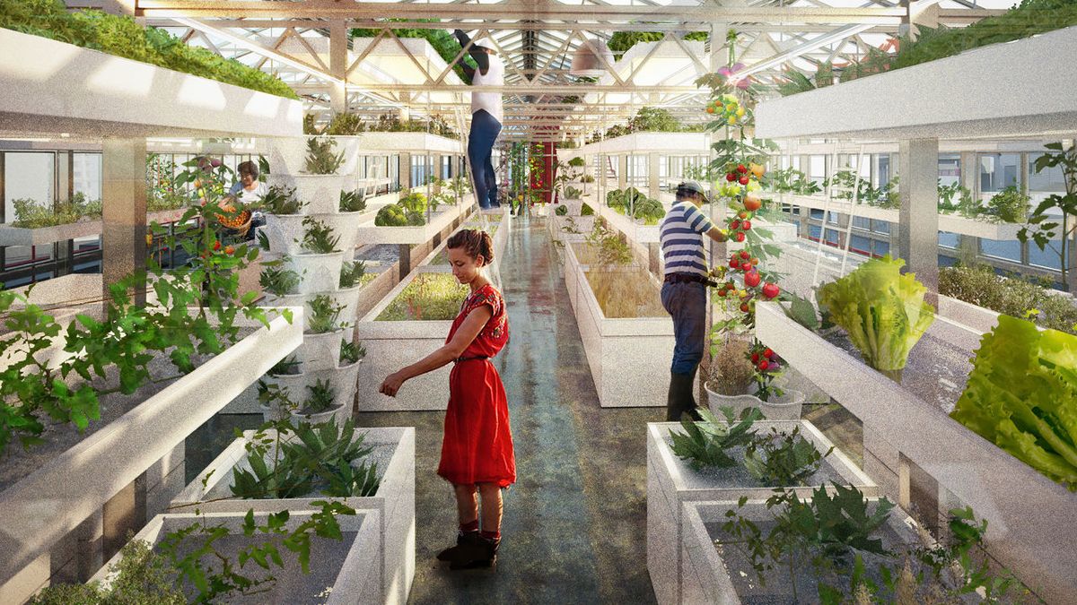 image of sustainable agriculture [environmental conservation nonprofit]