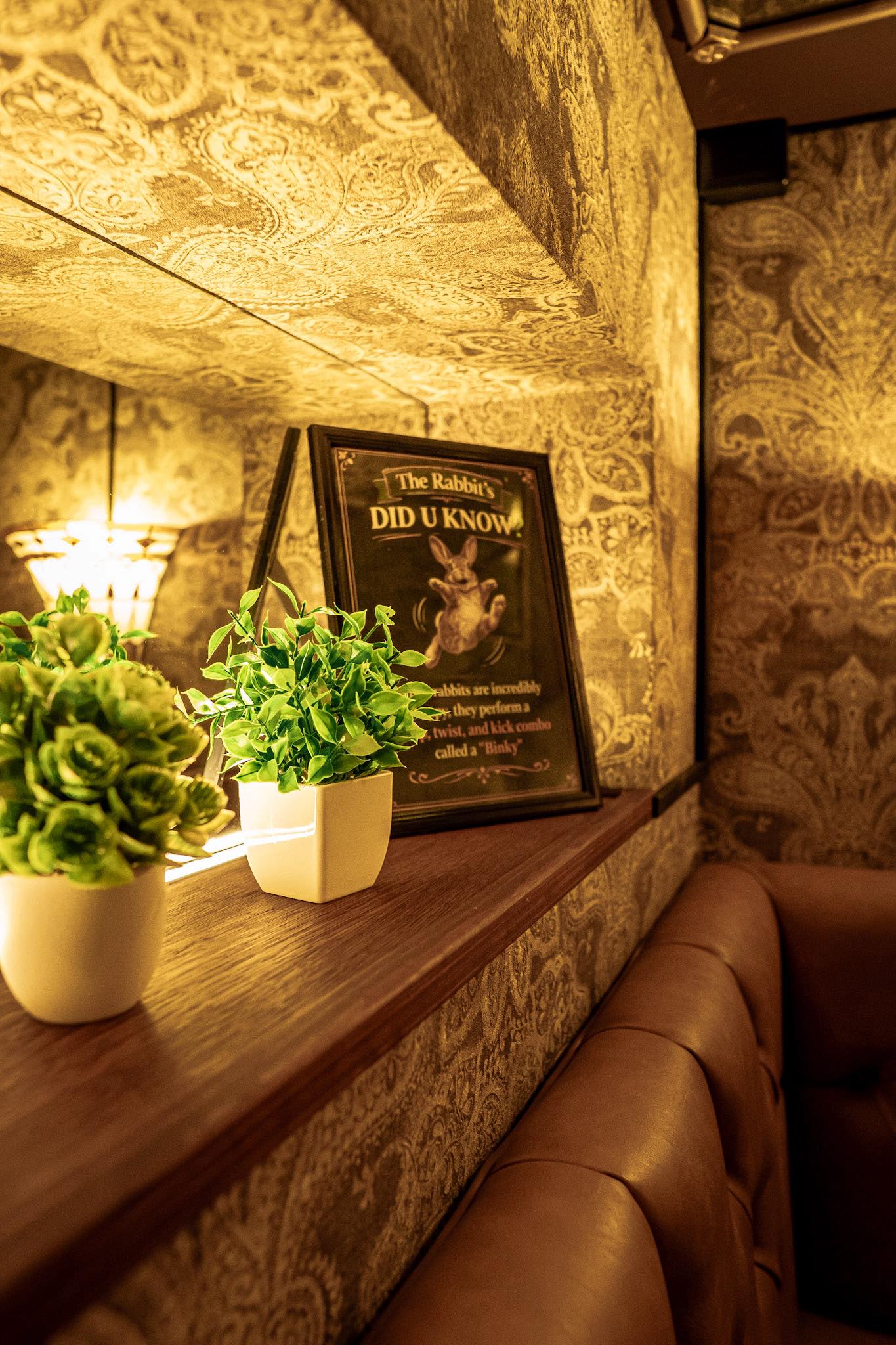 The Rabbit's Did U Know chalkboard sign with a green plant at Red Rabbit Pub Oslo, ornate wallpaper in the background