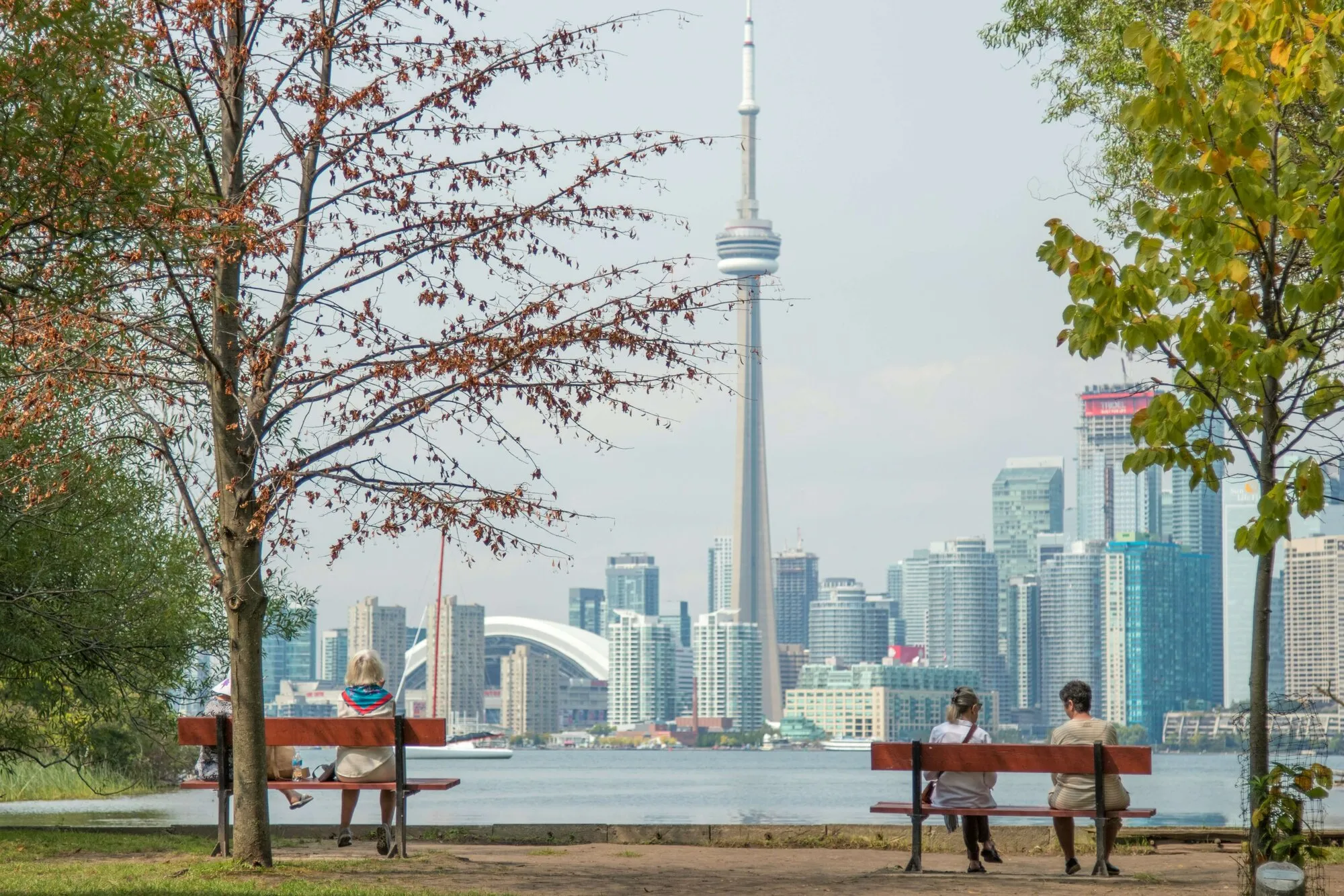 Toronto city image