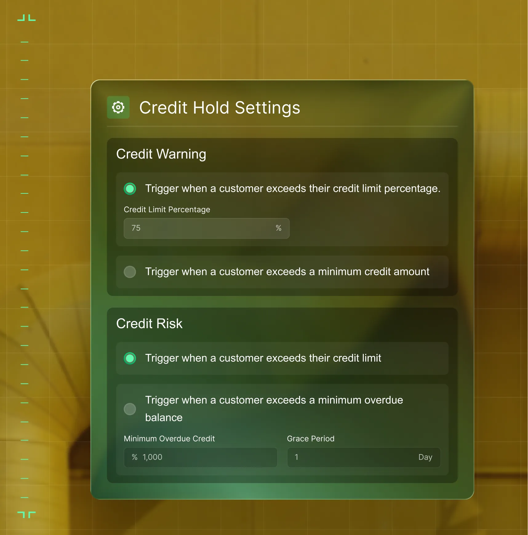 User interface settings panel titled Credit Hold Settings with options for Credit Warning and Credit Risk triggers.