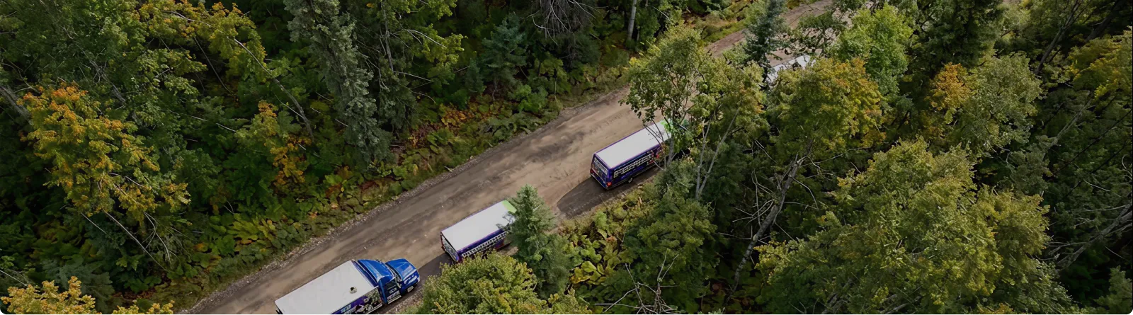 Aerial view of three delivery trucks driving in a line on a dirt road surrounded by dense green forest.