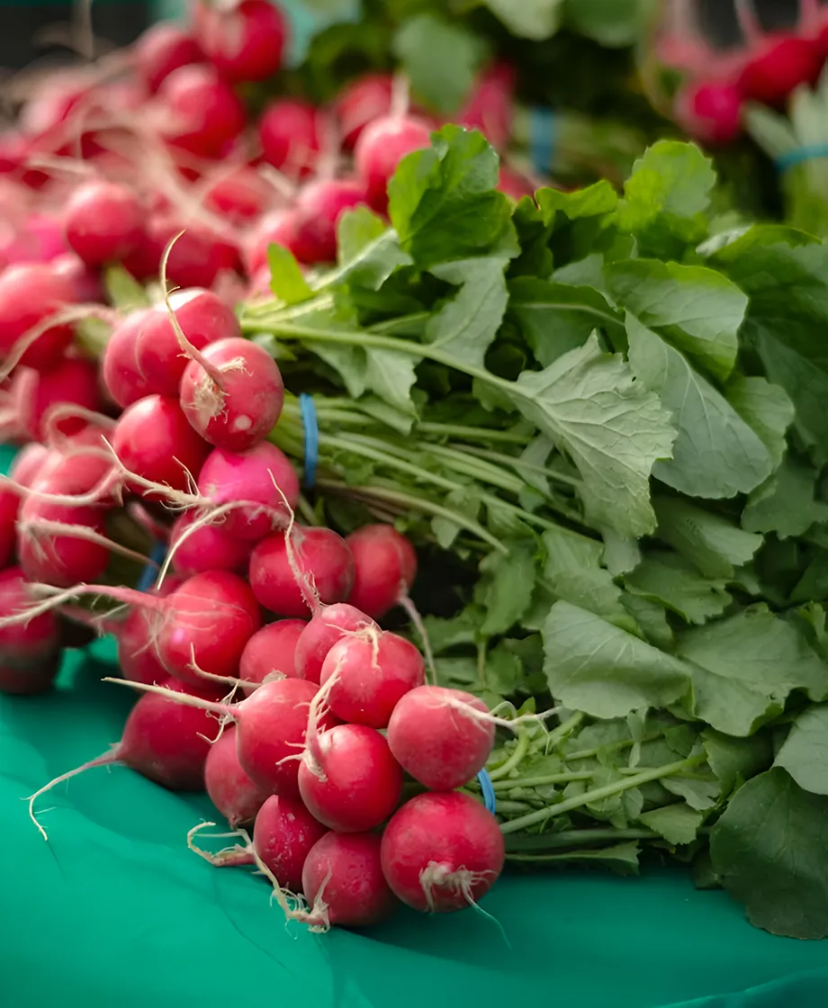 Home-three-products-1