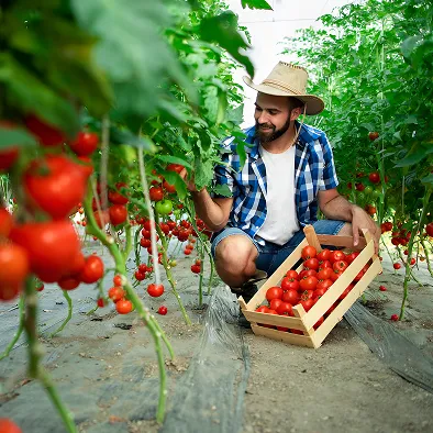 Image-picsart-organic-4