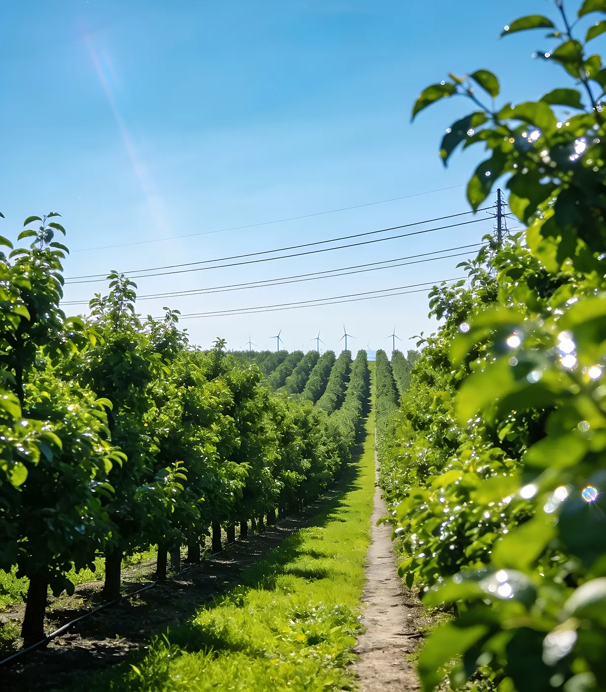 About-getting-insights-4