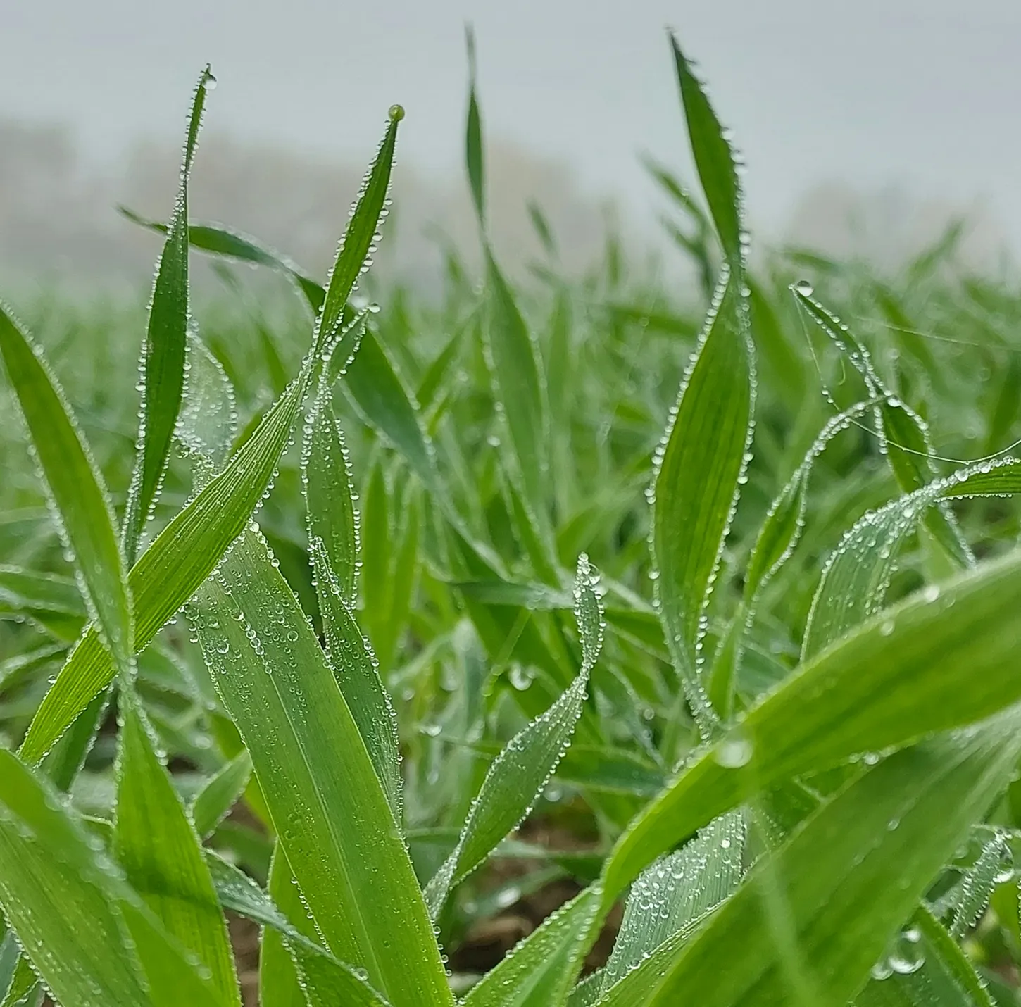 Service-two-solutions