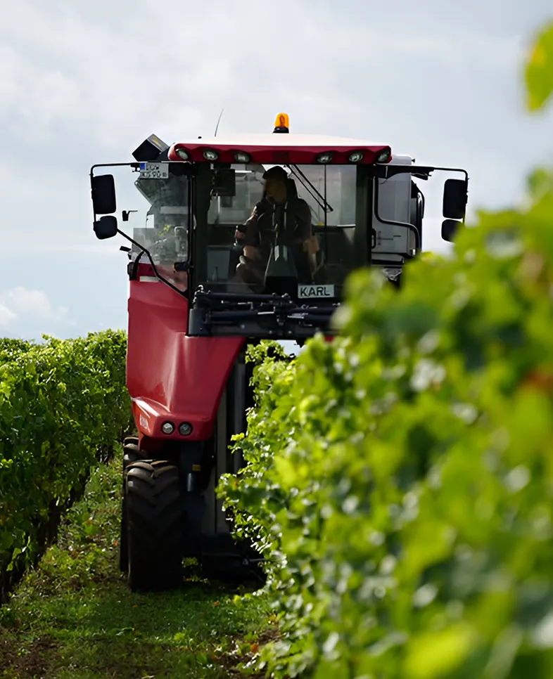 Service-two-banner-5