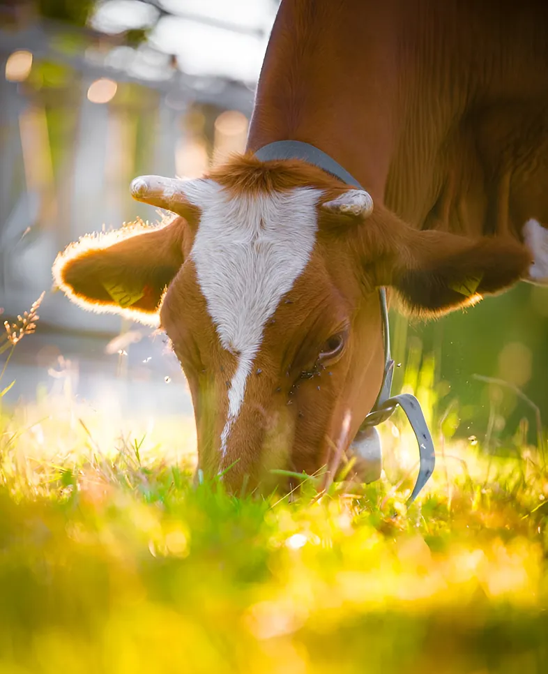 Service-two-banner-2