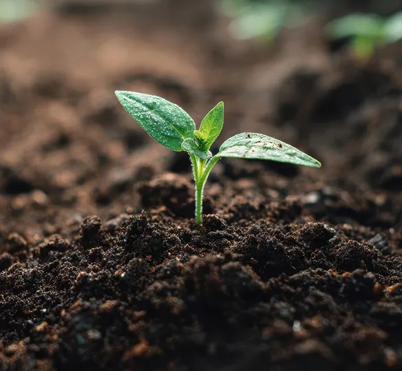 Service-three-overview-2