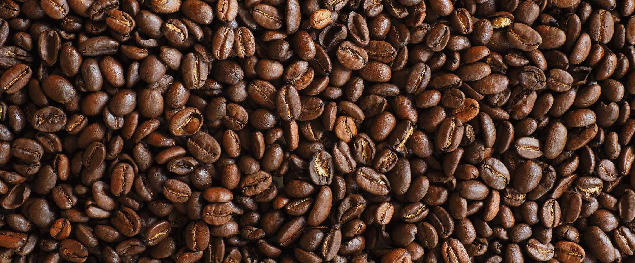 An array of dark brown coffee beans.