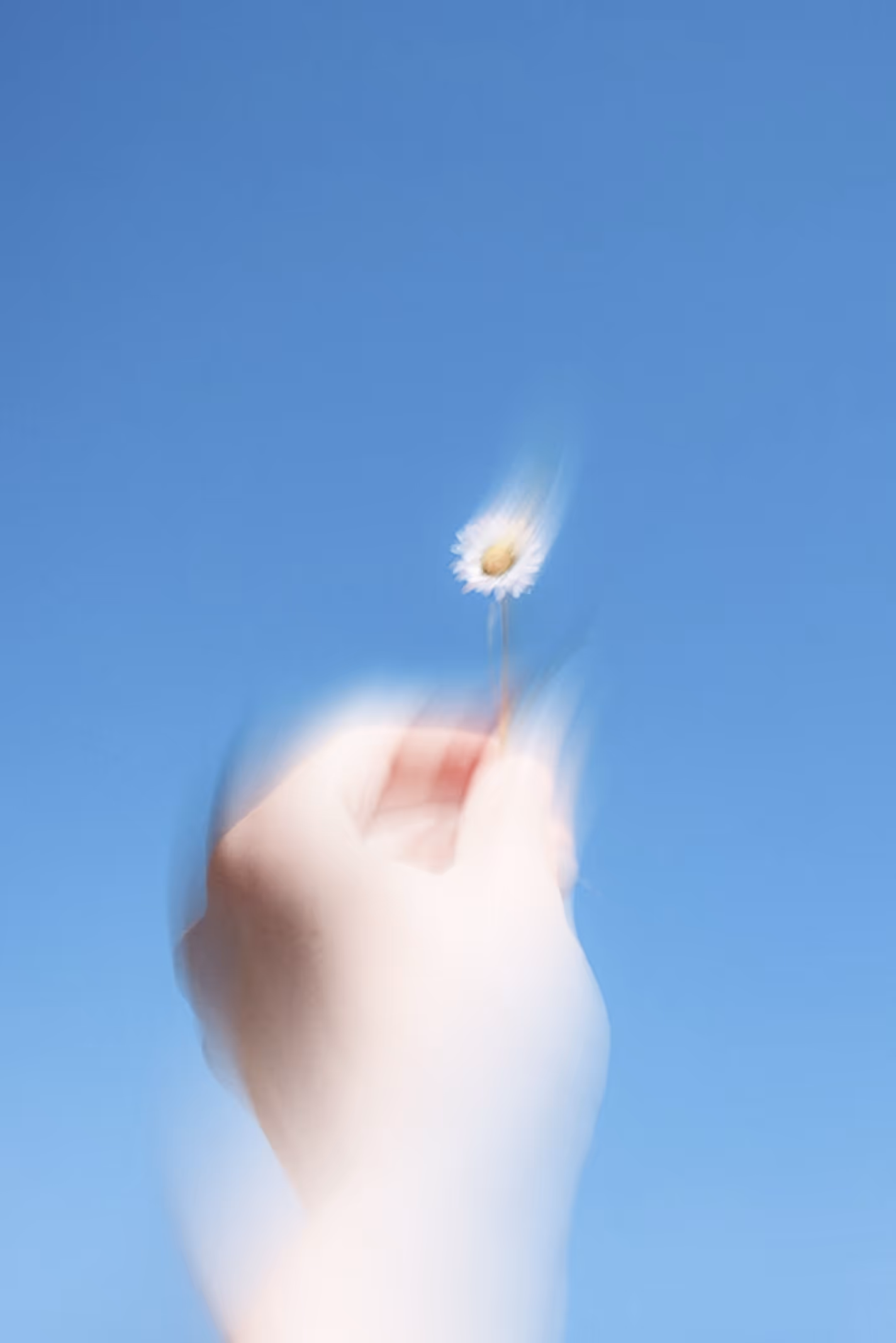A blurry photograph of a hand holding a daisy, with a light blue background.