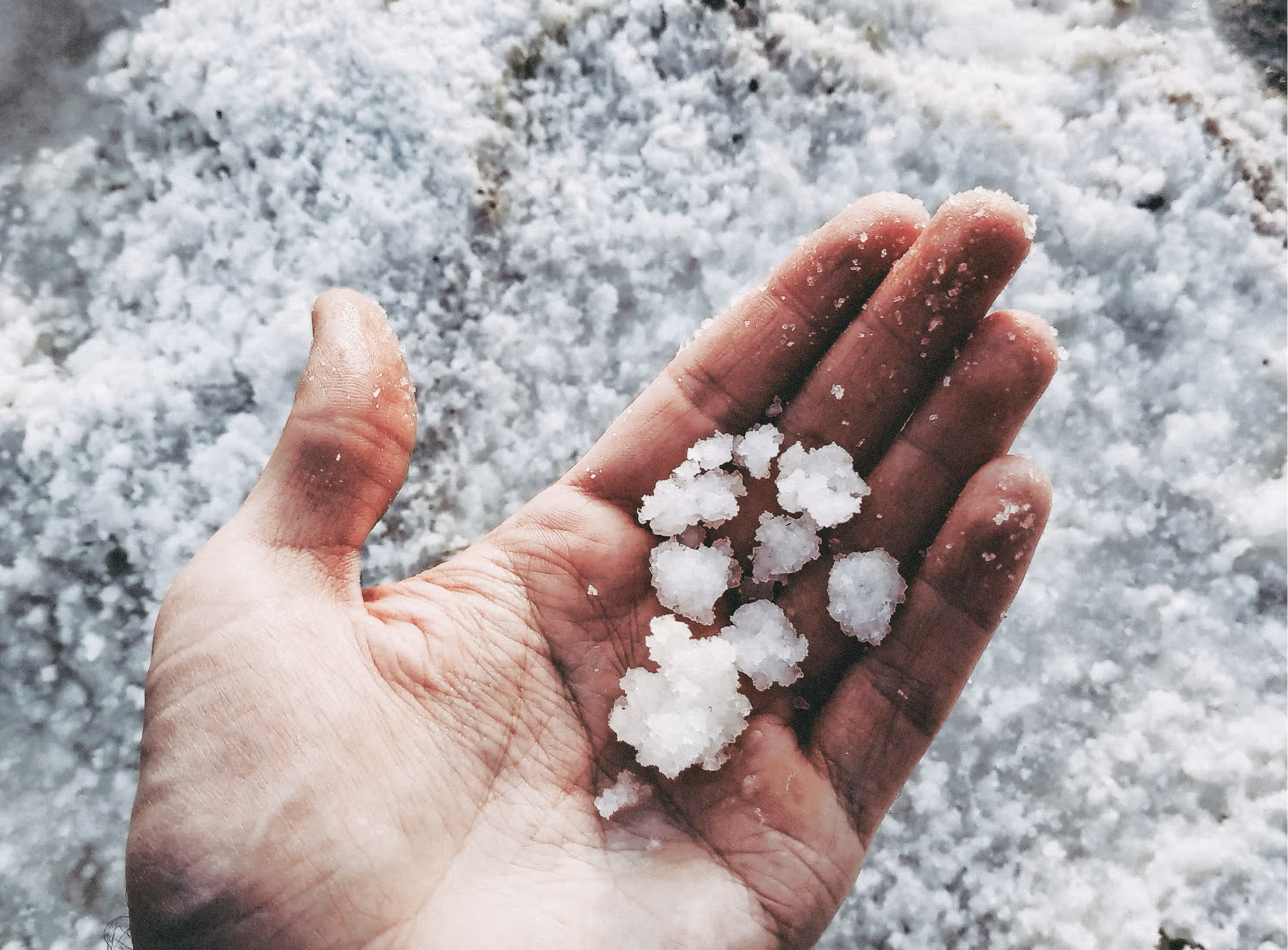 A hand holding the sea salt.