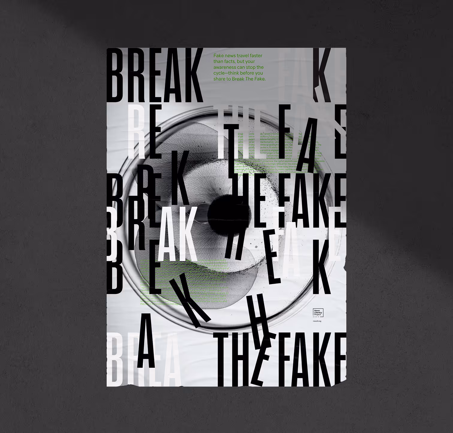 Break The Fake poster.