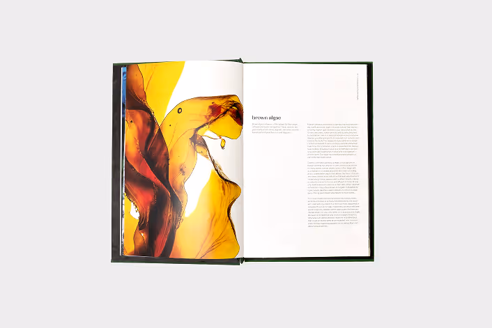 Fourth layout of the cookbook.