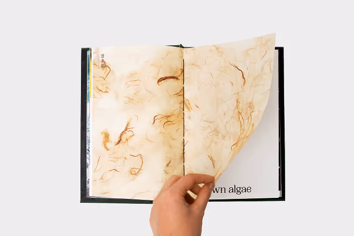 Third layout of the cookbook.