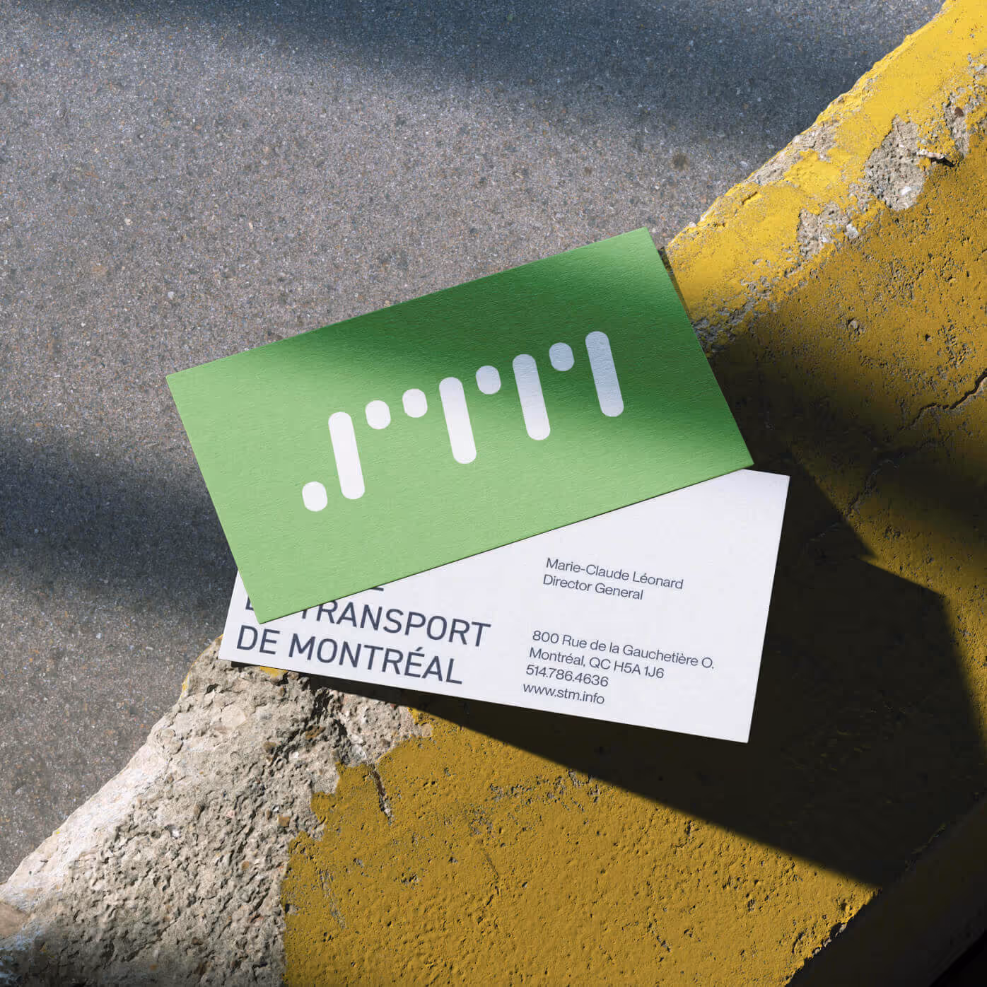 Green and white STM business card on concrete surface with logo mark and contact information in sans serif