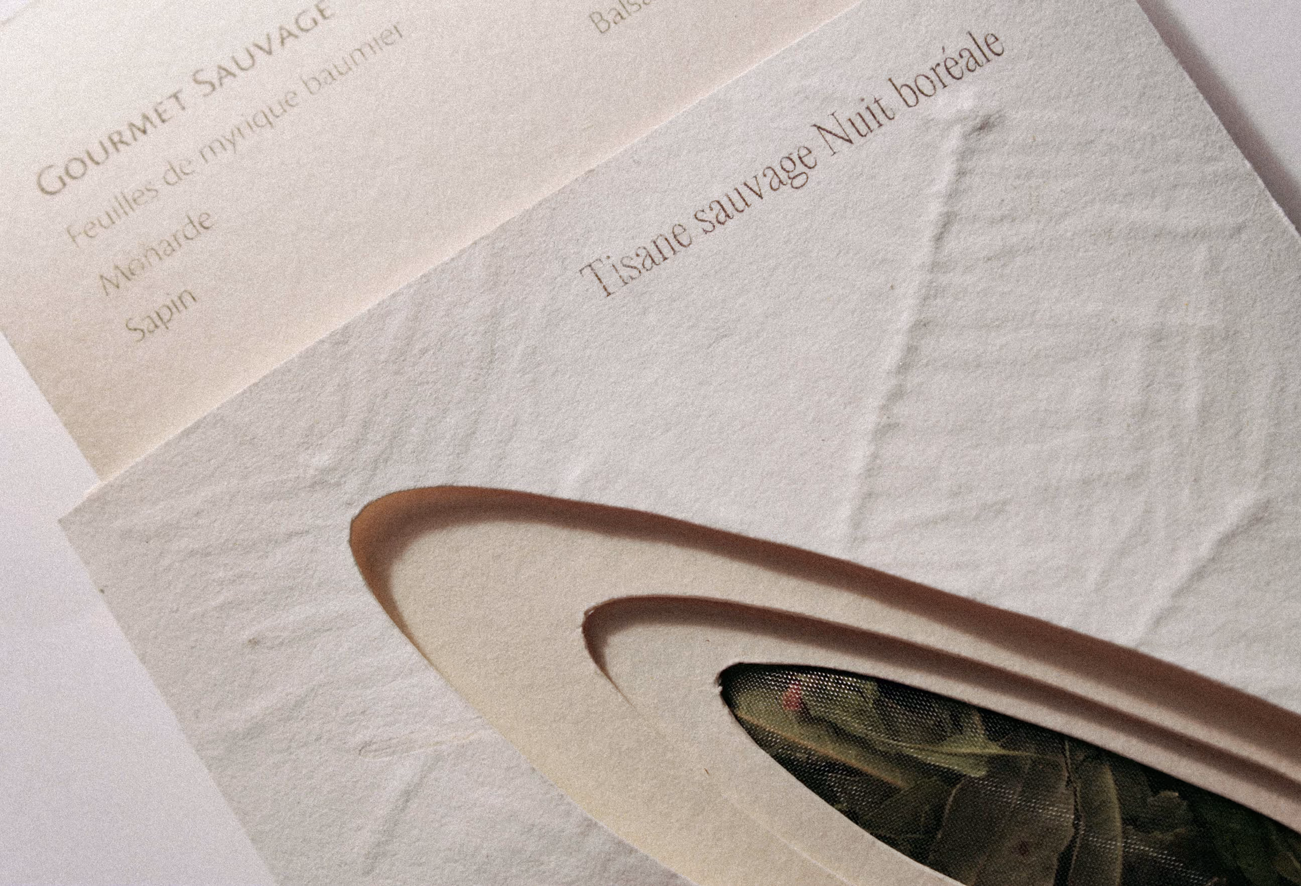 Close up image of tea packaging