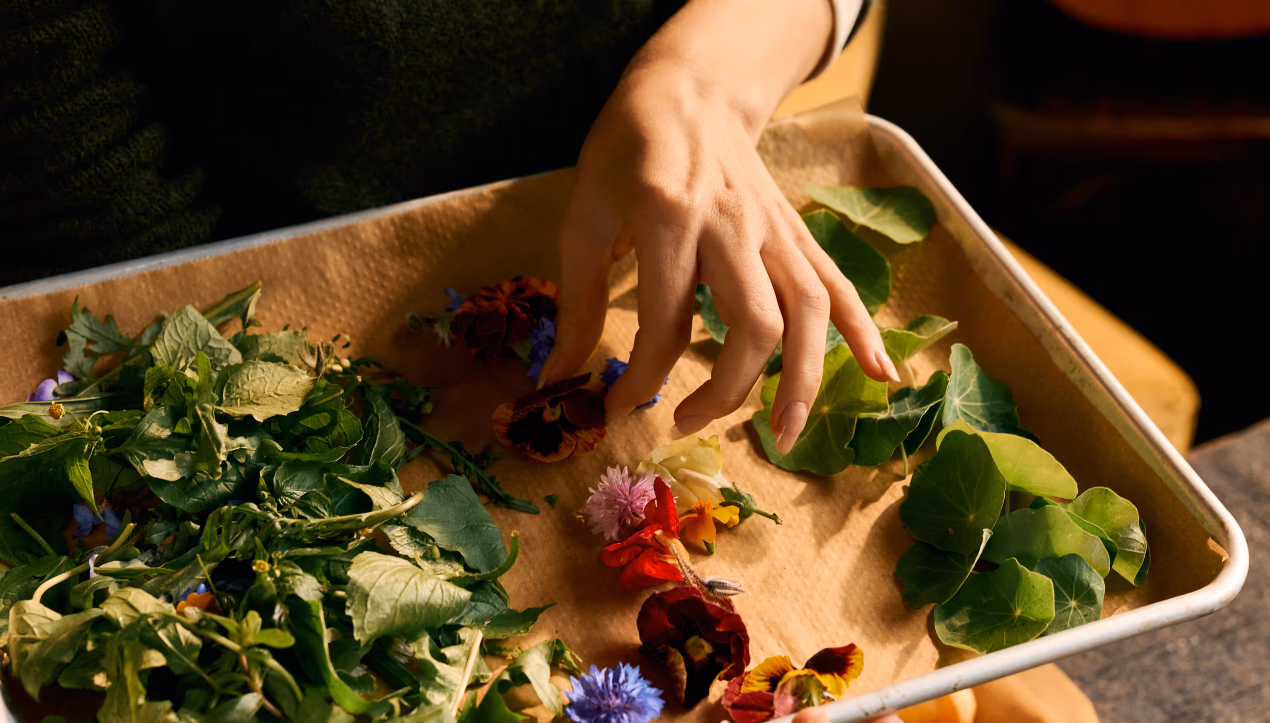 Photo credit death to stock, Daniel Faro. Woman placing flowers to dry