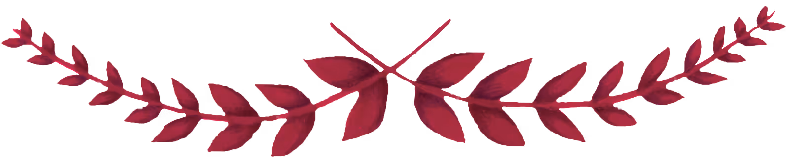 decorative illustration