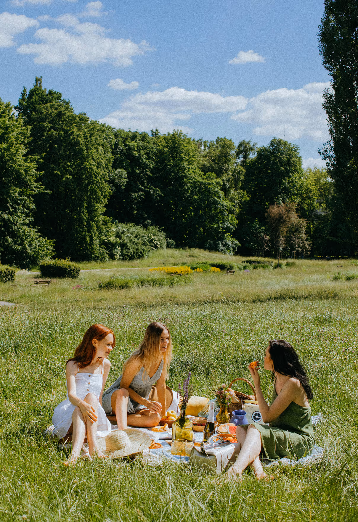 Women having a picnic in a field