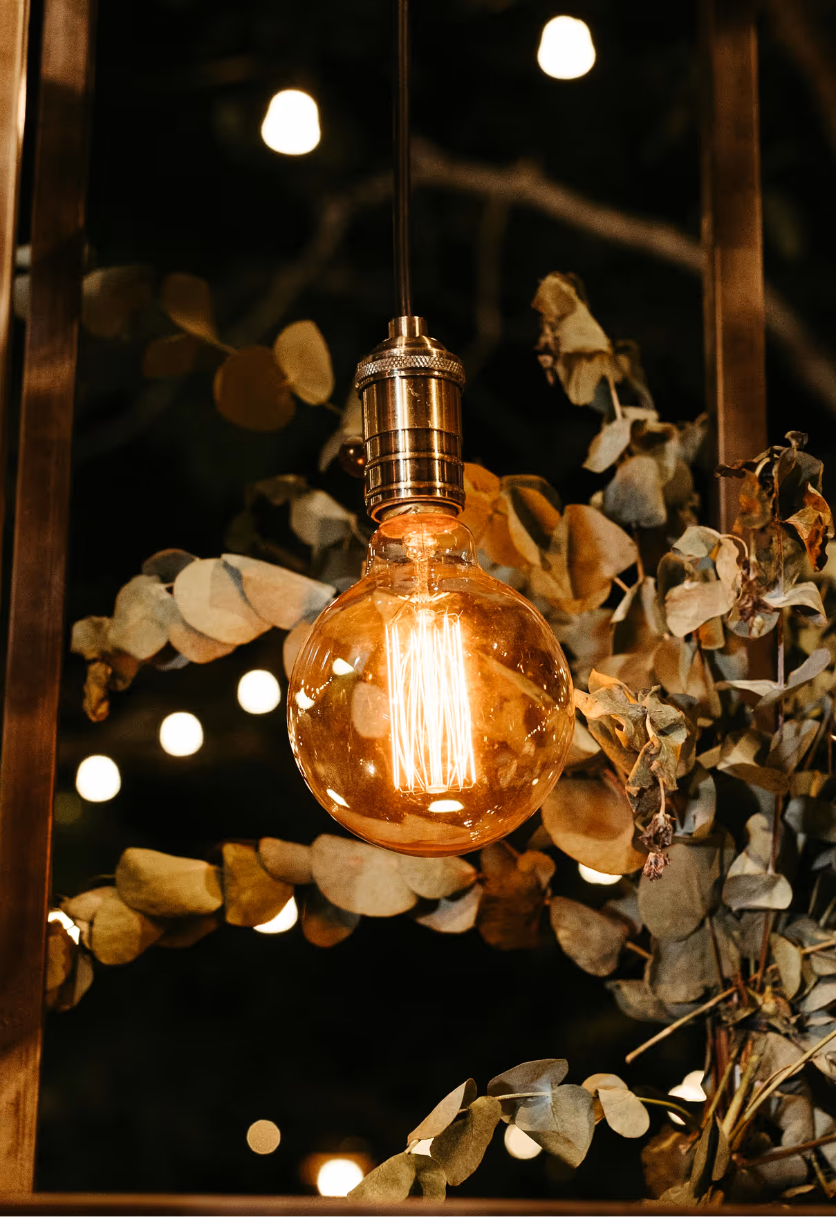 Lightbulb surrounded by dried herbs
