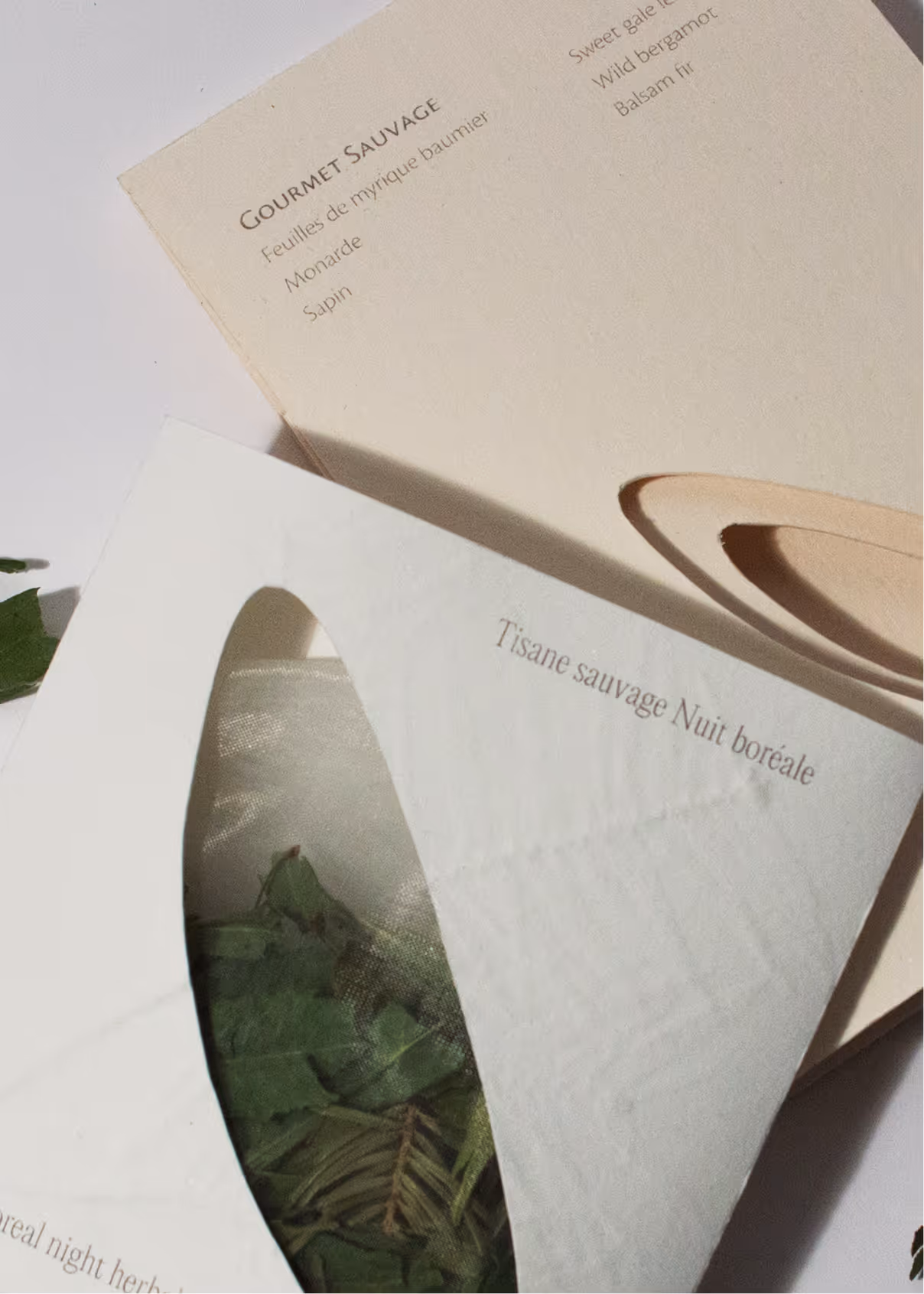 Close up boreal night packaging