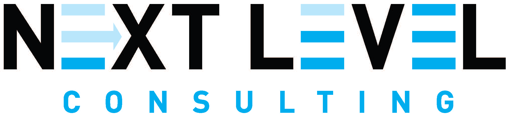 Next Level Consulting logo