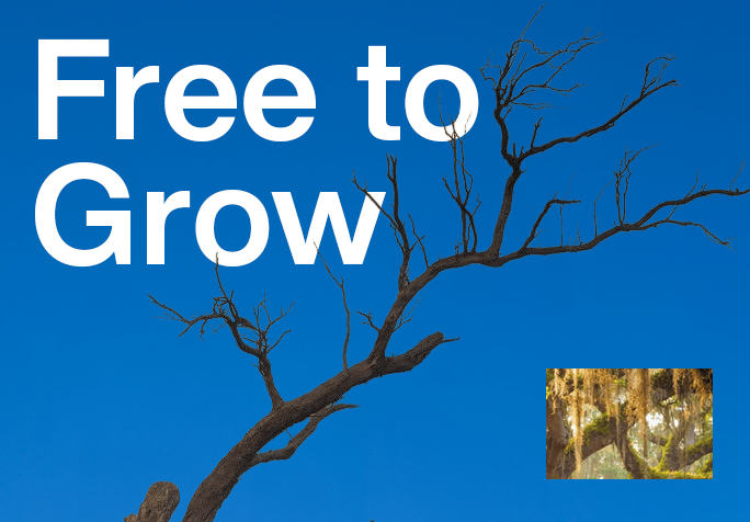 Free To Grow Care Crew
