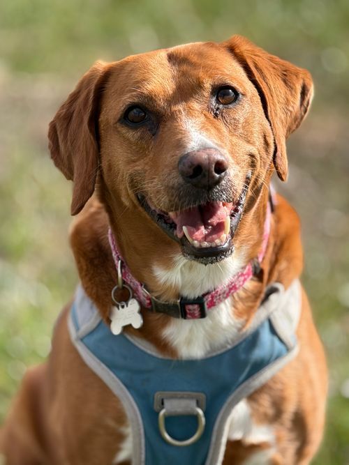 Ruby, out with Wagandwalks
