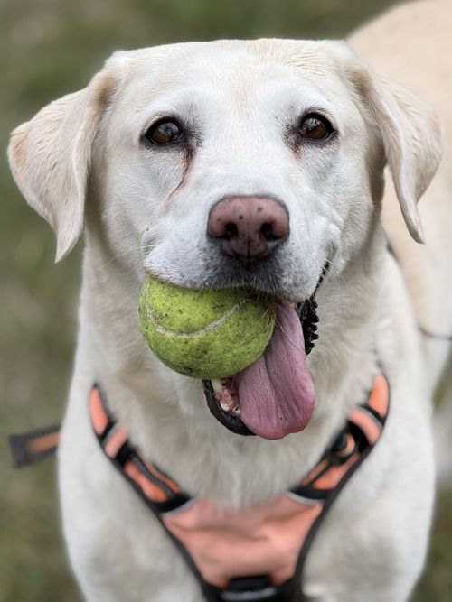 Bonnie, out with Wagandwalks
